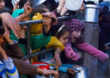 Casi 300 millones sufrieron inseguridad alimentaria en 2023
