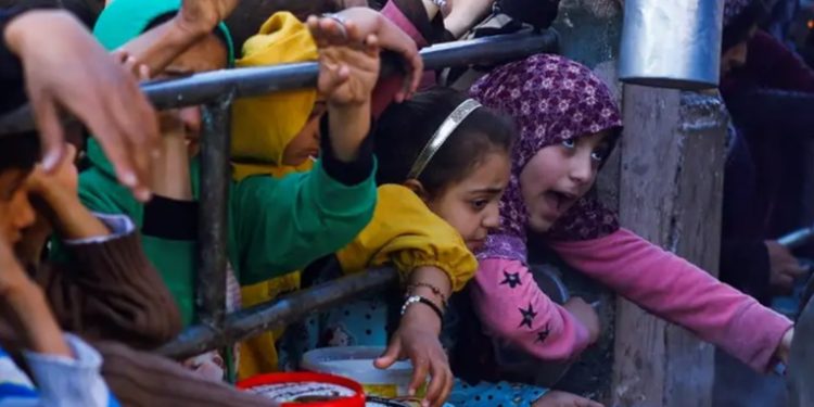 Casi 300 millones sufrieron inseguridad alimentaria en 2023