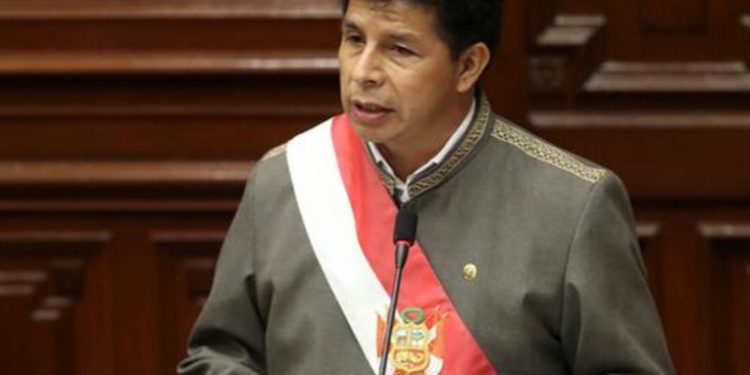 Castillo propone la castración quí­mica para violadores de menores en Perú