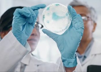 Cazadores de virus rastrean amenazas para evitar pandemia