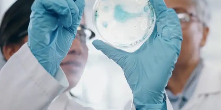 Cazadores de virus rastrean amenazas para evitar pandemia