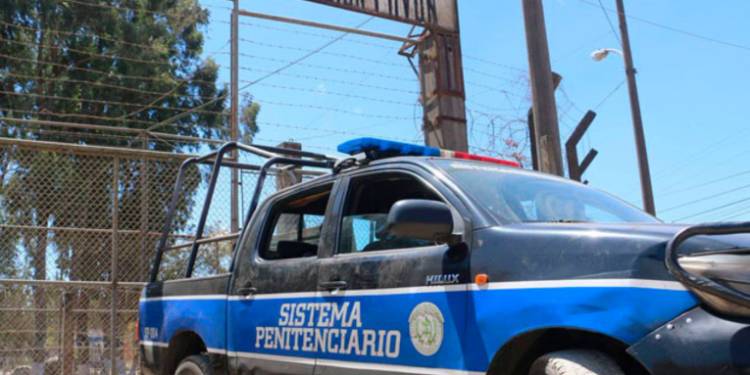 Centros carcelarios podrían reactivar visitas a finales de Octubre