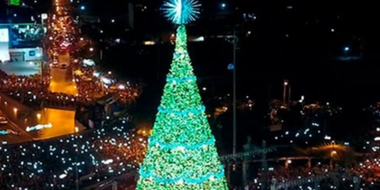 Cervecería Centro americana anuncia el regreso del tradicional Árbol Gallo con actividades en varios departamentos