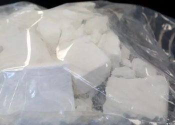 Chile, España y Francia desarman envío de cocaína de Bolivia