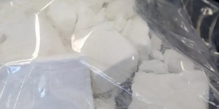 Chile, España y Francia desarman envío de cocaína de Bolivia