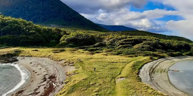 Chile: sismo de 7,5 en Magallanes, alerta de tsunami