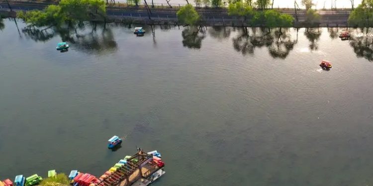 China: ataque con cuchillo a 4 profesores estadounidenses