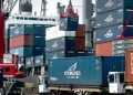 China aún no explica bloqueo de contenedores de café y macadamia, denuncian exportadores