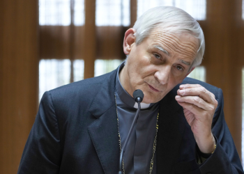 China confirma la inusual visita del enviado del Vaticano para buscar una solución en Ucrania