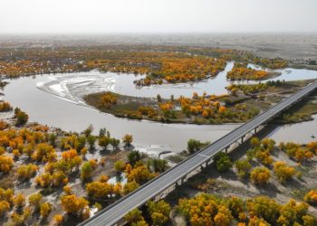 China rodea su mayor desierto con cinturón verde de más de 3.000 kilómetros