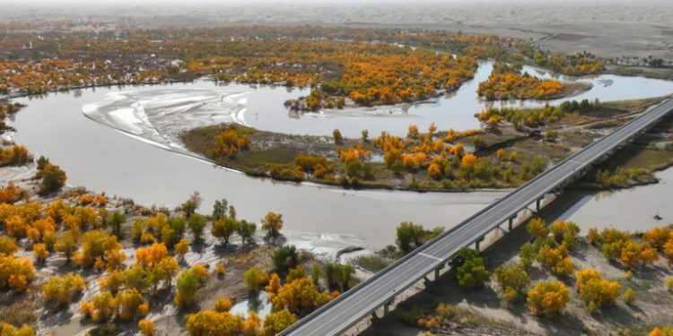 China rodea su mayor desierto con cinturón verde de más de 3.000 kilómetros