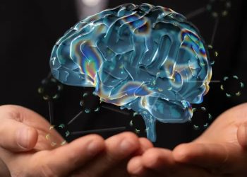Científicos demuestran que el cerebro puede rejuvenecer