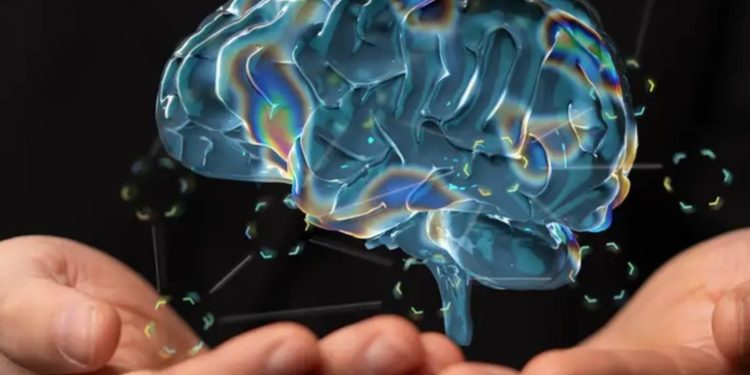 Científicos demuestran que el cerebro puede rejuvenecer