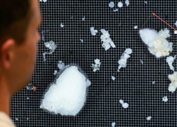 Cientí­ficos descubren por primera vez microplásticos en lo profundo de los pulmones de personas