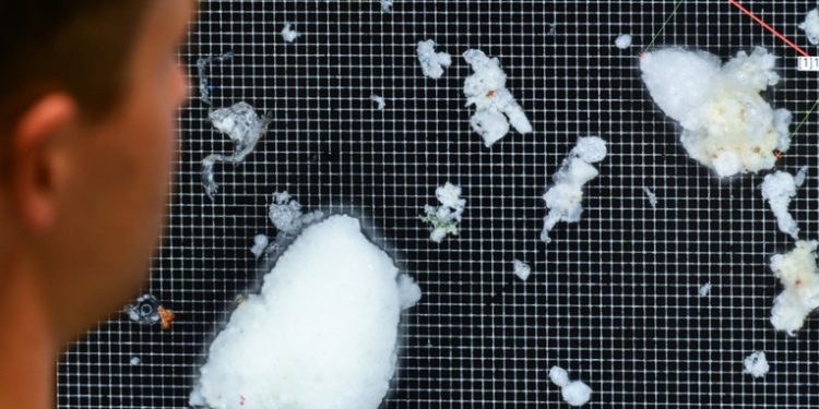 Cientí­ficos descubren por primera vez microplásticos en lo profundo de los pulmones de personas