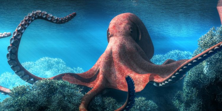 Científicos descubren que los pulpos comparten algunos genes cerebrales con los humanos