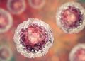 Científicos logran criar células humanas más jóvenes 'in vitro', estos son para avances en la regeneración de órganos