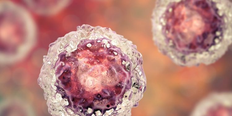 Cientí­ficos logran criar células humanas más jóvenes 'in vitro', estos son para avances en la regeneración de órganos