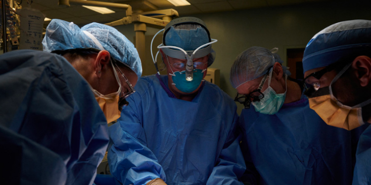 Cientí­ficos realizan el segundo xenotrasplante exitoso de un riñón de cerdo a una persona fallecida.