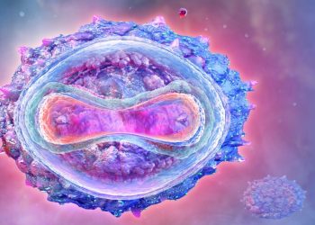 Cientí­ficos sugieren que la viruela del mono ha mutado a un ritmo mucho más rápido de lo esperado tras pasar por una