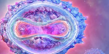 Cientí­ficos sugieren que la viruela del mono ha mutado a un ritmo mucho más rápido de lo esperado tras pasar por una