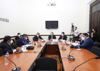Citan a Amelia Flores a la comisión de Salud