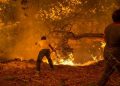 Clima extremo en todo el mundo: entre incendios e inundaciones