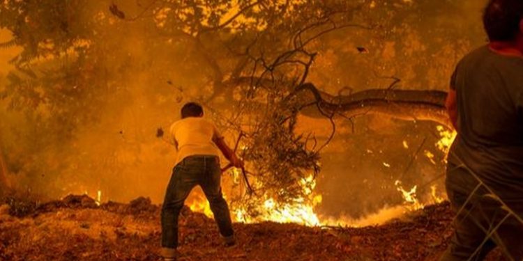 Clima extremo en todo el mundo: entre incendios e inundaciones