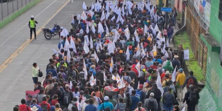 Codeca organiza protestas en la capital exigiendo reducción de precios en la canasta básica