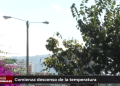 Comienza descenso de la temperatura