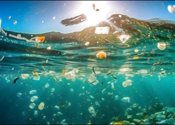 Cómo afectan los desechos plásticos a la reproducción de criaturas marinas y por qué es peligroso