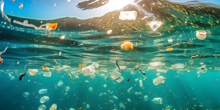 Cómo afectan los desechos plásticos a la reproducción de criaturas marinas y por qué es peligroso