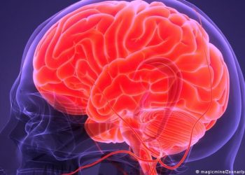 Â¿Cómo cambia el cerebro durante el tratamiento de la depresión?