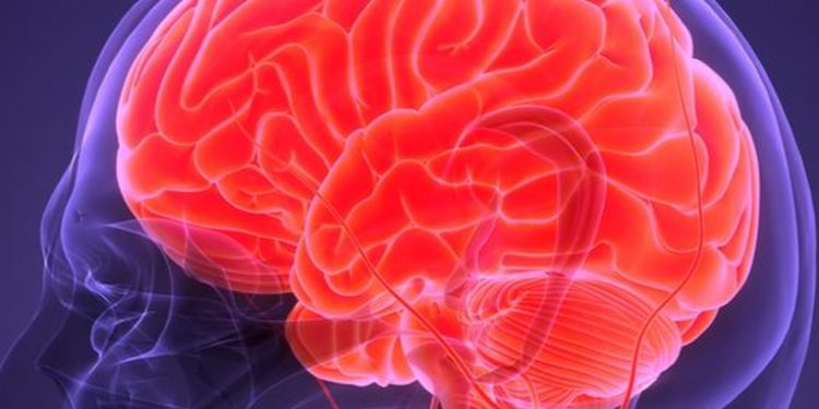 Â¿Cómo cambia el cerebro durante el tratamiento de la depresión?