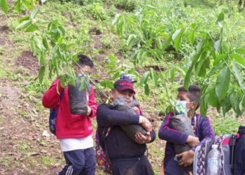 Comuna capitalina inicia proyecto de reforestación en 38 puntos estratégicos