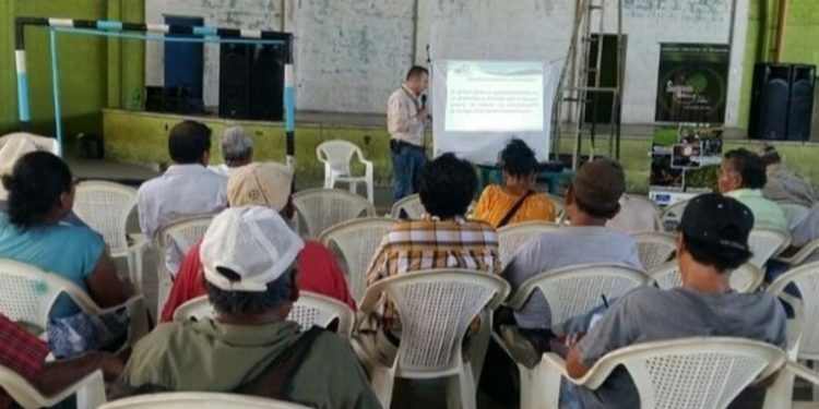 Comunas toman medidas contra COVID-19