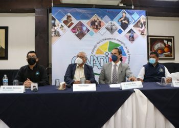 CONADI busca fomentar el lenguaje de señas en el paí­s
