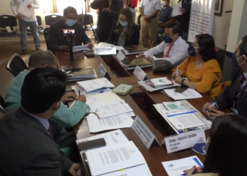 CONADI consulta sobre iniciativas de ley