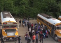CONAMIGUA brindará transporte de migrantes deportados