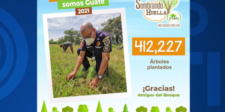 Concluyen jornadas de reforestación