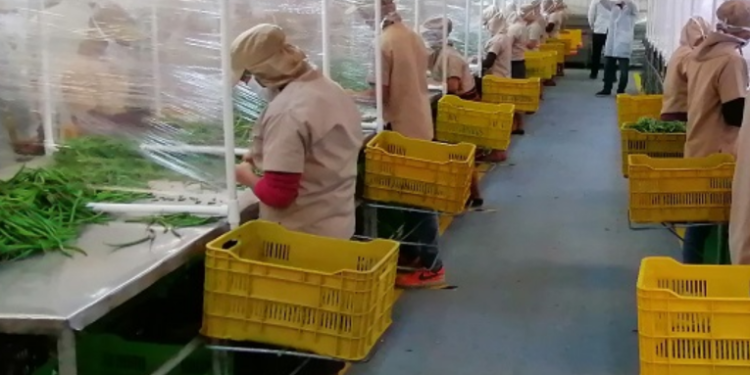 Concluyen programa Fondo de Protección al Empleo