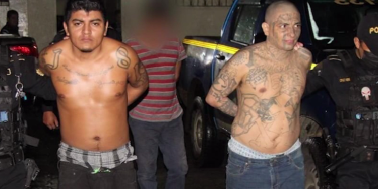 Conductor de un trailer capturado por trasladar ocultos a pandilleros salvadoreños