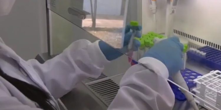 Confirman nueva cepa brasileña en el país