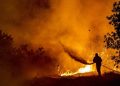 Confirman cuatro muertes en el peor incendio forestal de Chipre en décadas