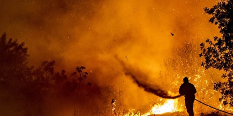 Confirman cuatro muertes en el peor incendio forestal de Chipre en décadas