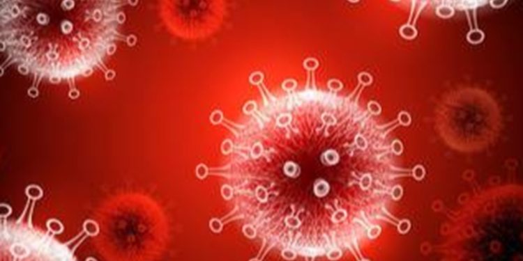 Confirman el primer caso de infección por la variante 'centauro' del coronavirus en los Países Bajos
