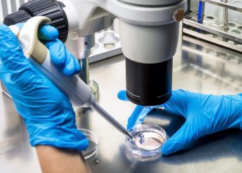 Confirman el primer caso de transmisión de viruela del mono de un hombre a su perro