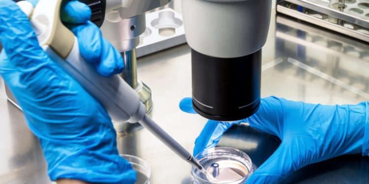 Confirman el primer caso de transmisión de viruela del mono de un hombre a su perro