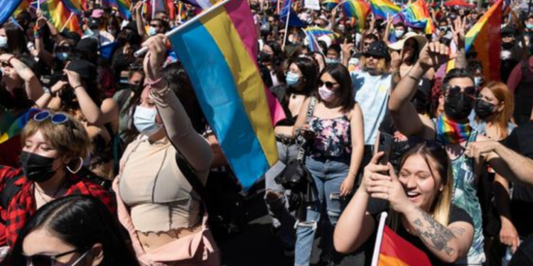 Congreso chileno aprueba el matrimonio igualitario