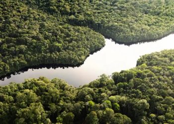 Congreso de Brasil flexibiliza las licencias ambientales